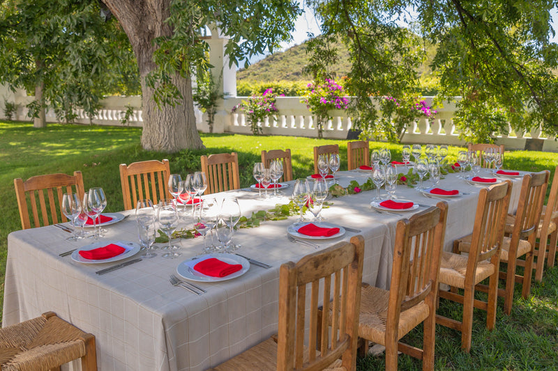 Experiencia gastronómica al aire libre en Hacienda San Lorenzo de Casa Madero, rodeada de jardines y viñedos.