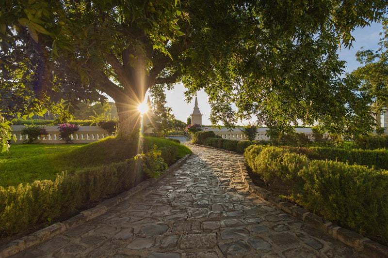 Jardines y sendero de Hacienda San Lorenzo de Casa Madero al atardecer, en Parras, Coahuila.
