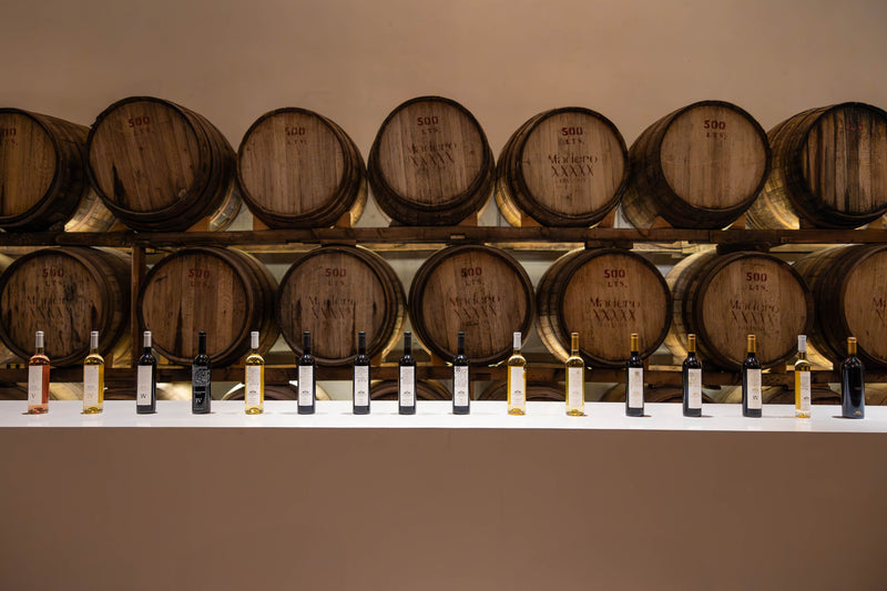 Sala de catas de Casa Madero con selección de vinos frente a barricas de roble en Hacienda San Lorenzo, Parras, Coahuila.